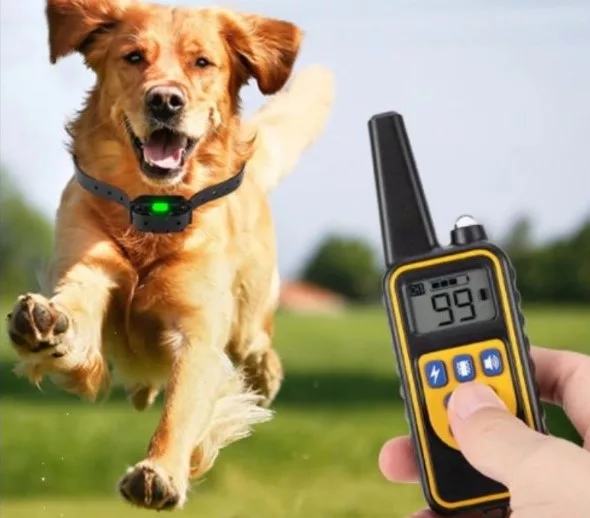 Remote Dog Training Collar