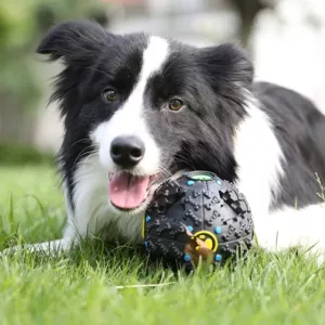 Dog Food Puzzle Toy