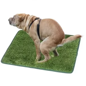 dog training mat, dog grass mat, lawn mat, puppy training pads, dog grass pee pad, dog toilet training