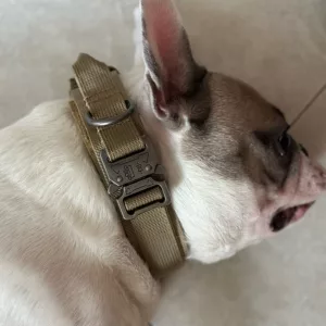 Received Tactical Training Dog Collar with Metal Buckle from customer T****e.