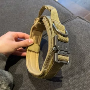 Received Tactical Training Dog Collar with Metal Buckle from customer S***e.