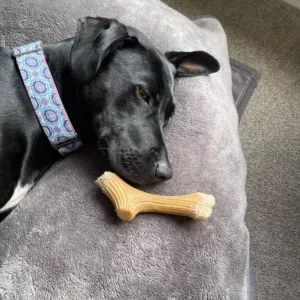 Received Wooden Antler Dog Chewing Stick from customer S***y.