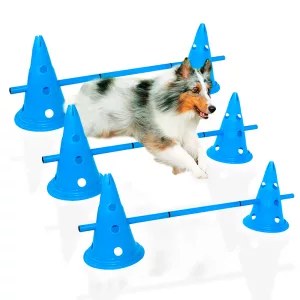 dog agility equipment, dog agility set
