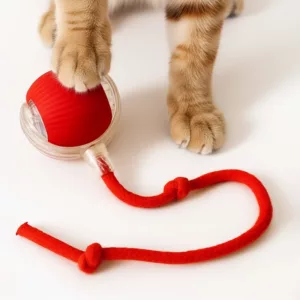 cat ball, rolling ball, cat interactive toy, automatic cat ball