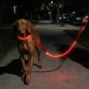 light up dog leash, led dog lesh, nylon leash
