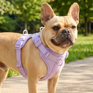 Breathable No-Pull Nylon Dog Harness Vest