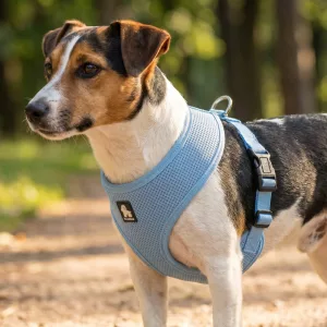 Breathable Mesh No-Pull Nylon Dog Harness