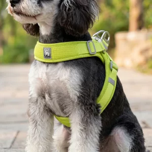 Soft Breathable No-Pull Mesh Dog Harness Vest