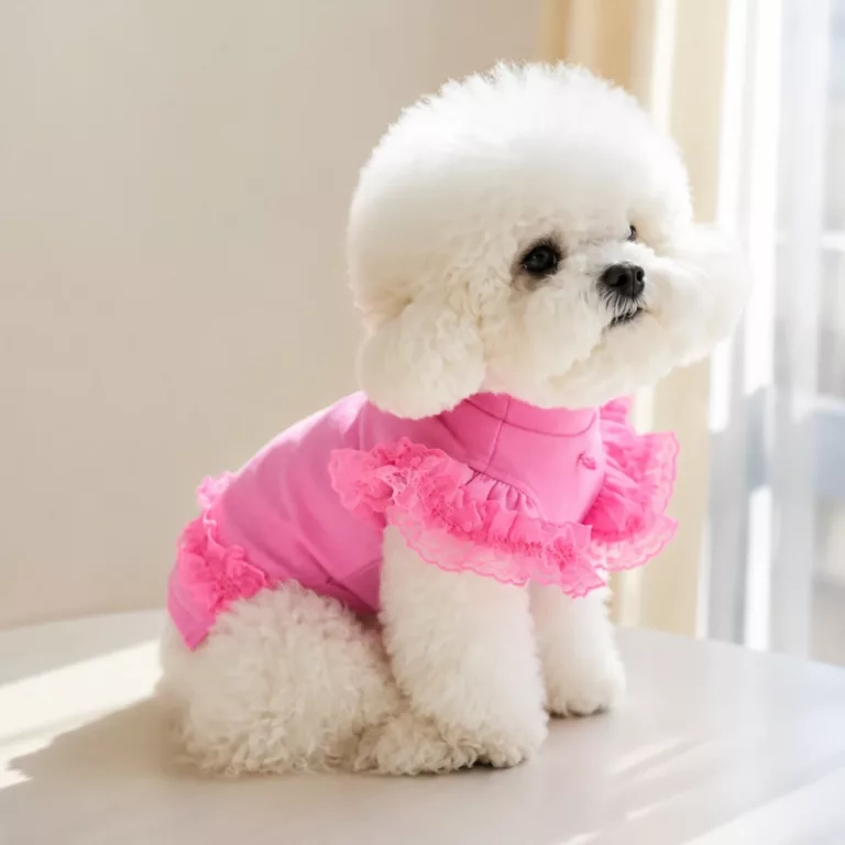 dog summer dress, dog dress