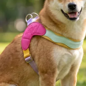 Colourful Soft No-Pull Y-Shaped Dog Harness Vest