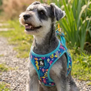 Cute Soft Reflective No-Pull Dog Harness Vest