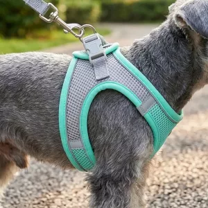 Breathable No-Pull Nylon Dog Harness Vest and Leash Set