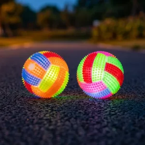 2pcs Bright Glowing Dog Ball Interactive Toy