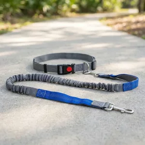 Hands-Free Reflective Nylon Dog Leash with Waist Belt