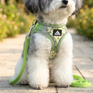Soft Breathable Mesh No-Pull Nylon Dog Harness Vest and Leash Set