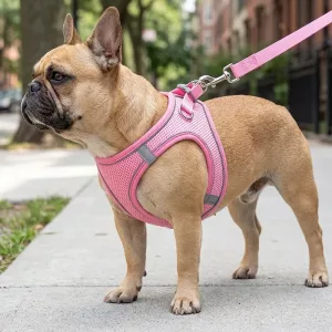Reflective No-Pull Mesh Dog Harness Vest and Leash Set