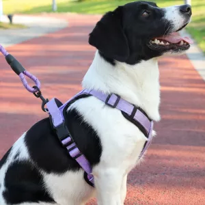 Reflective No-Pull Dog Harness Vest and Leash Set