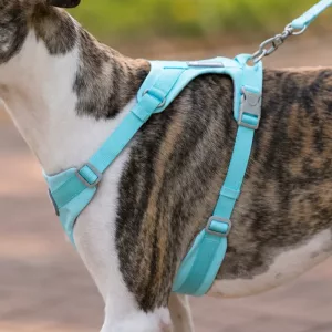 Breathable No-Pull Dog Harness