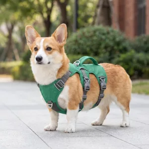 No-Pull Reflective Nylon Dog Vest Harness