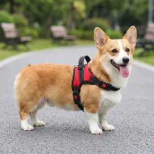 Breathable No-Pull Dog Harness Vest