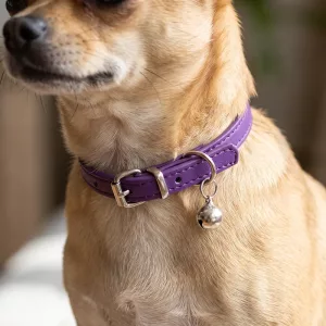 Adjustable Dog Collar with Bell