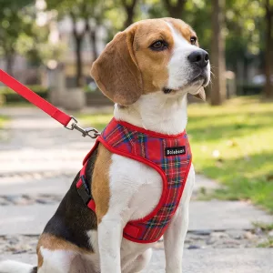 Plaid No-Pull Dog Harness Vest and Leash Set