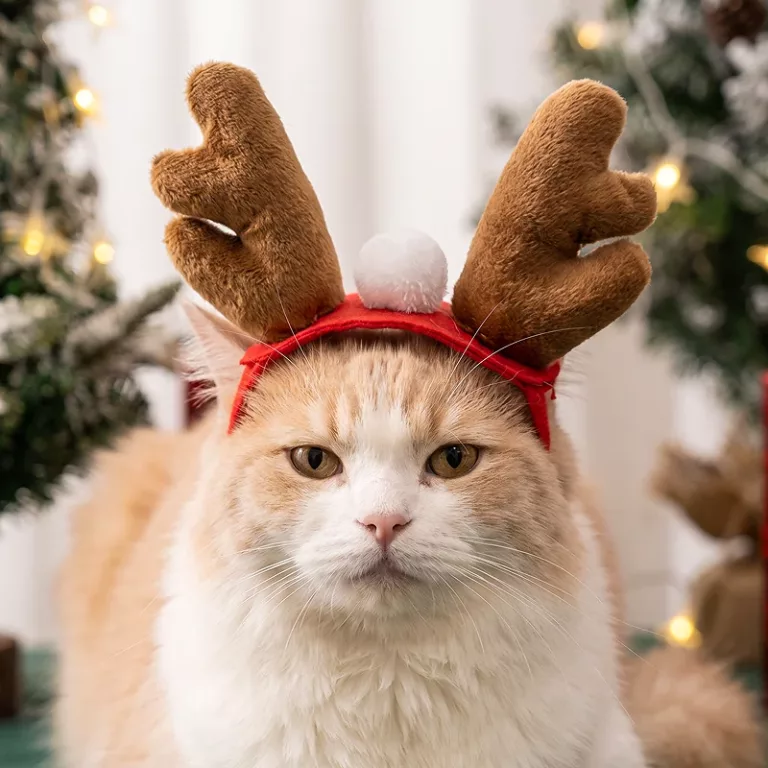 reindeer antler headband