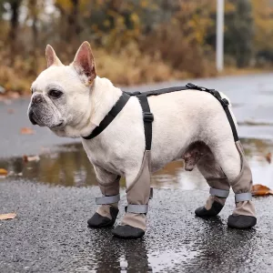 dog shoes with suspenders, dog booties with suspenders, dog shoe suspenders