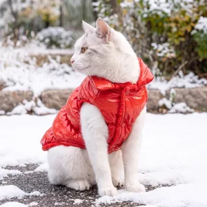 Waterproof Cat Puffer Jacket Warm Pet Button Coat