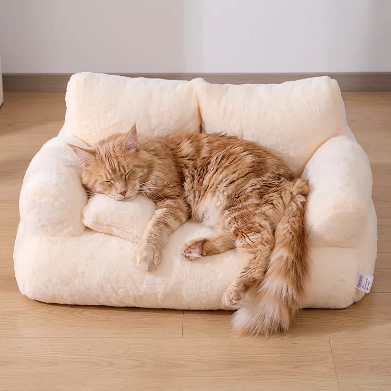 cat sofa bed